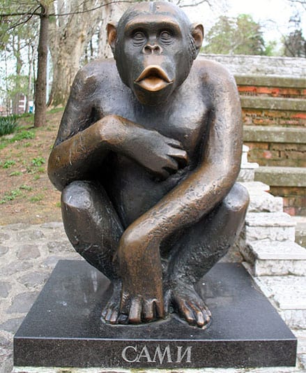 הפסל של סאמי השימפנזה